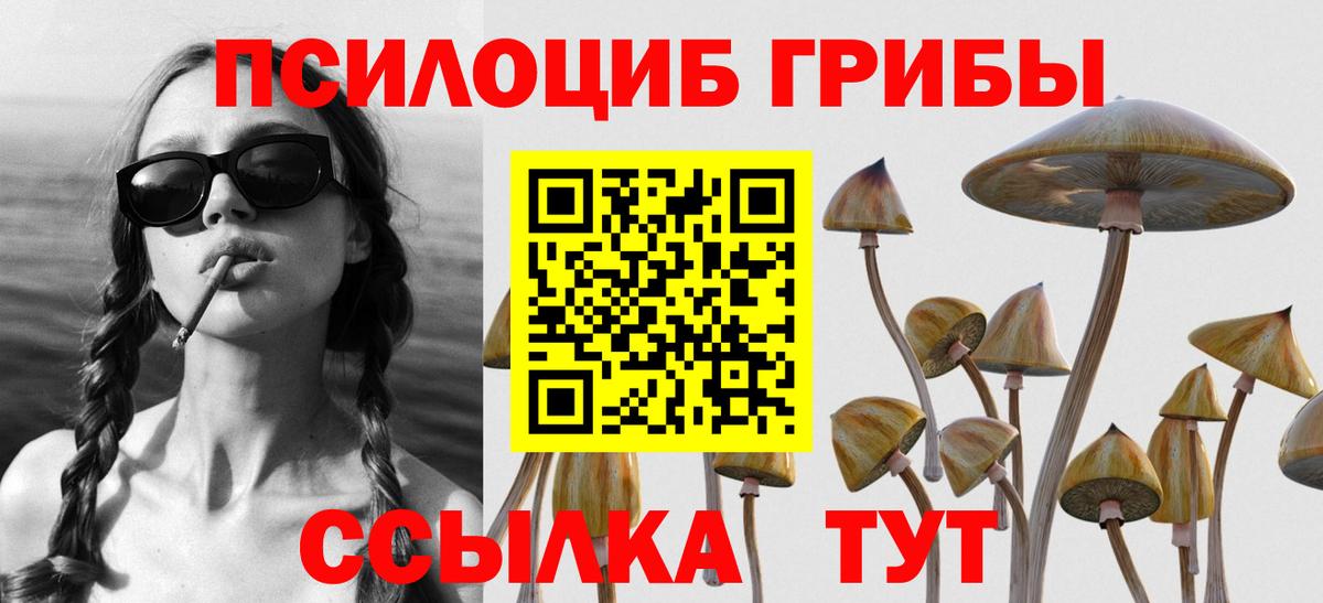 Мурино  Псилоцибиновые грибы Magic Shrooms  Вход с VPN 